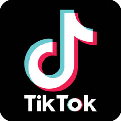 最受欢迎的短视频APP:Tik Tok V16.6.43 国际版